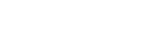 Shoalhaven logo